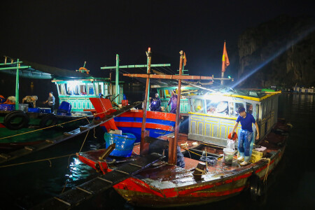 Nói về chợ hải sản thì Hạ Long có rất nhiều chợ hải sản, nhưng 1 trong những chợ hải sản đầu mối đó chính là chợ cá sớm.