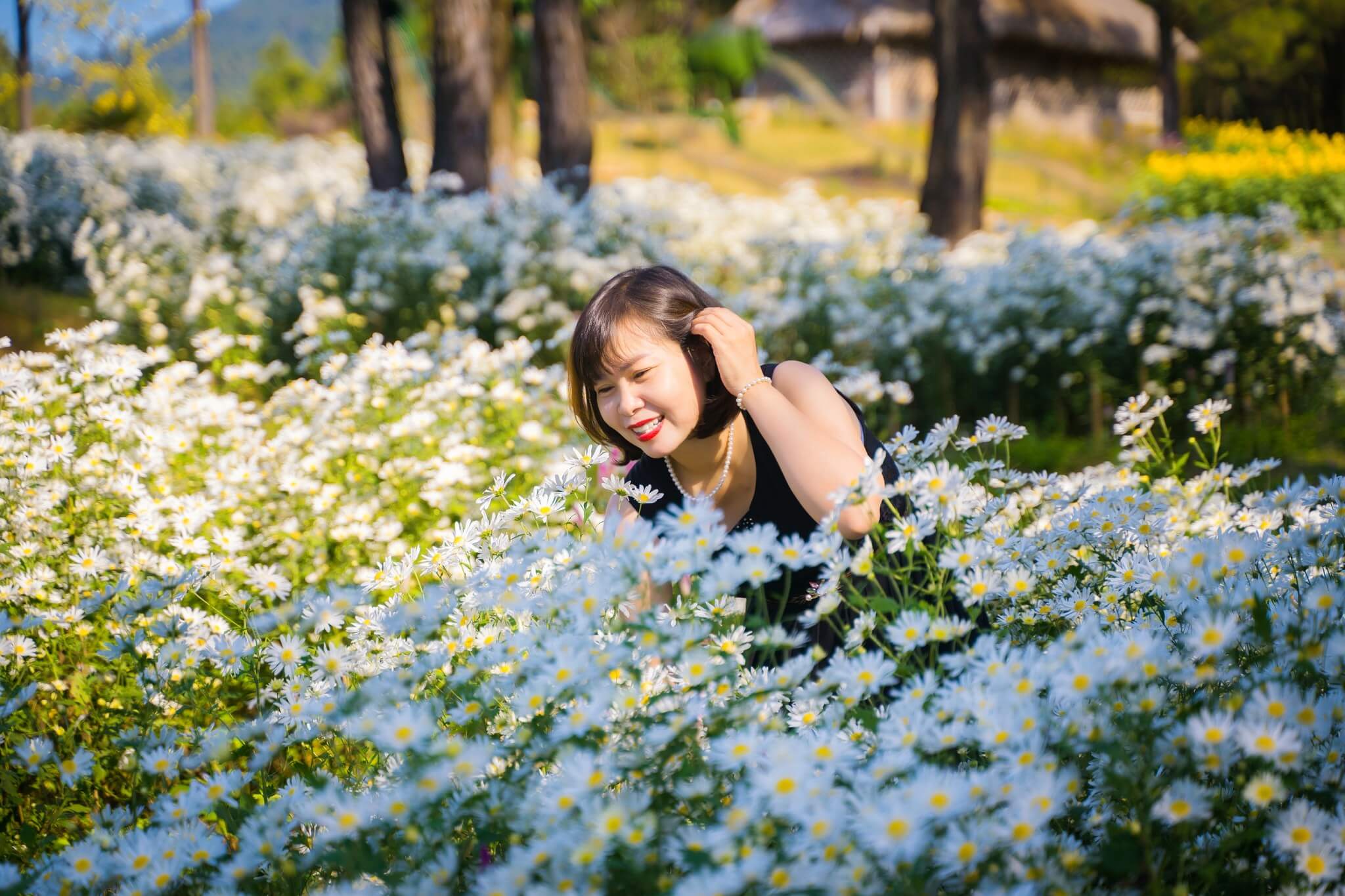 CHỤP ẢNH: VƯỜN HOA TẠI HỒ YÊN TRUNG