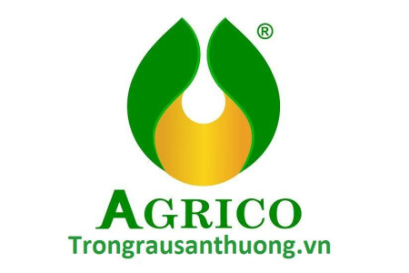 Monkey Media hân hạnh đồng hành cùng Agrico cây xanh Quảng Ninh để triển khai Hồ sơ năng lực cho công ty, một dự án rất tâm huyết của cả hai bên.